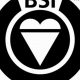 BSI Certification Reinforce Force's Commitment to Safety