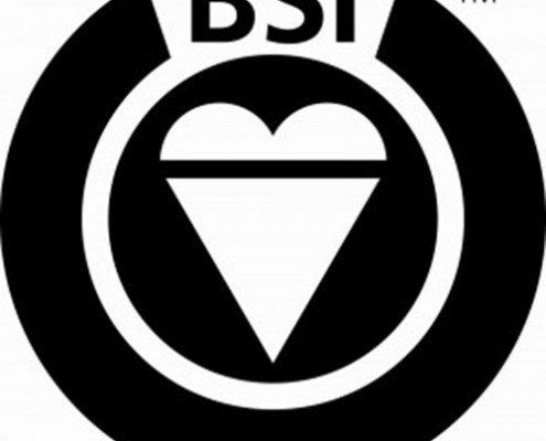 BSI Certification Reinforce Force's Commitment to Safety